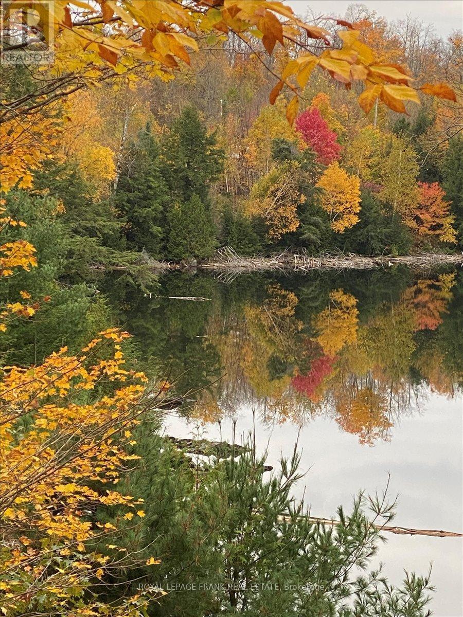 












538 SKENE ROAD

,
Marmora and Lake (Lake Ward),




Ontario
K0L1W0

