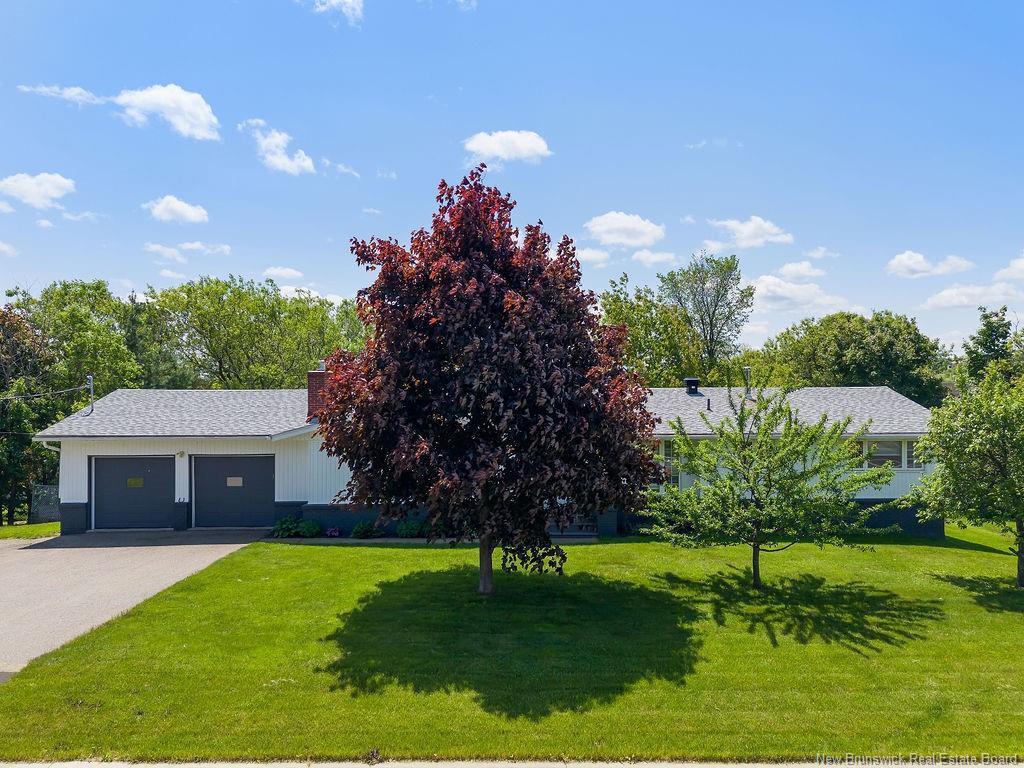 









555


Stout

CRT,
Bathurst,




NB
E2A 2P4

