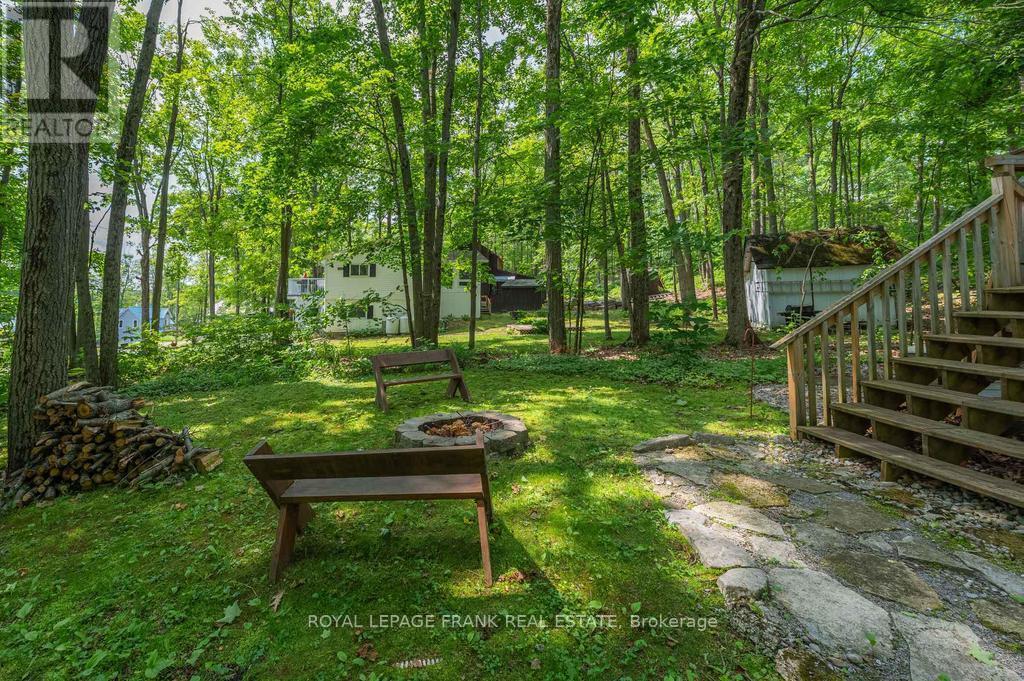 












3 FIRE ROUTE 27B

,
Trent Lakes,




Ontario
K0L1J0

