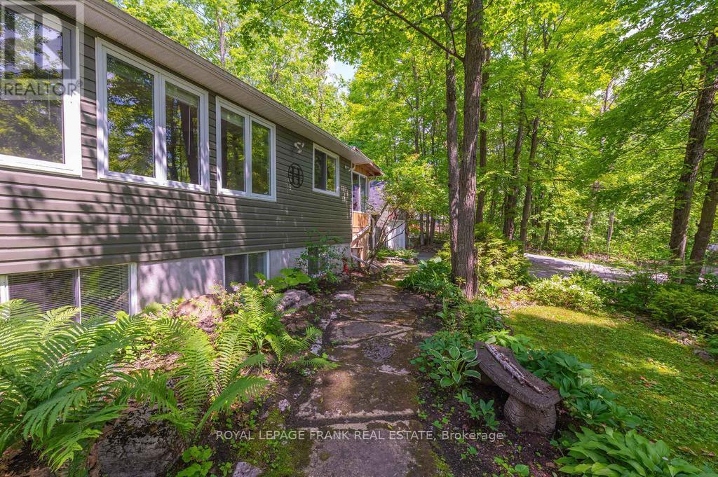 












3 FIRE ROUTE 27B

,
Trent Lakes,




Ontario
K0L1J0

