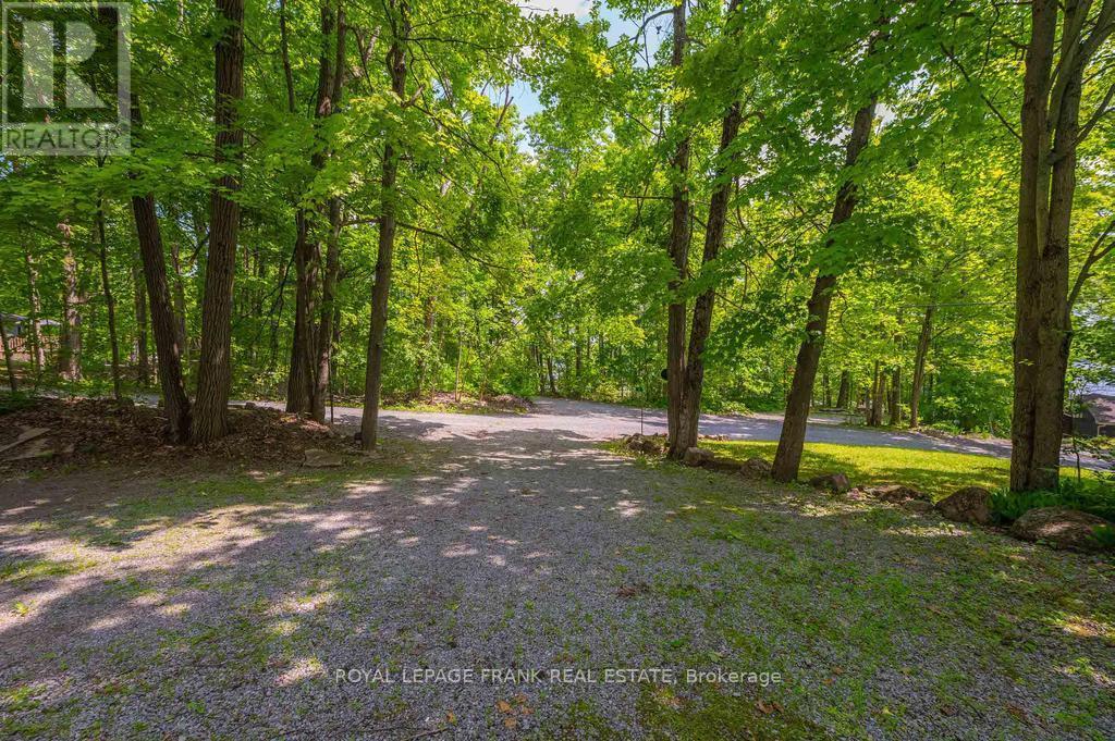 












3 FIRE ROUTE 27B

,
Trent Lakes,




Ontario
K0L1J0

