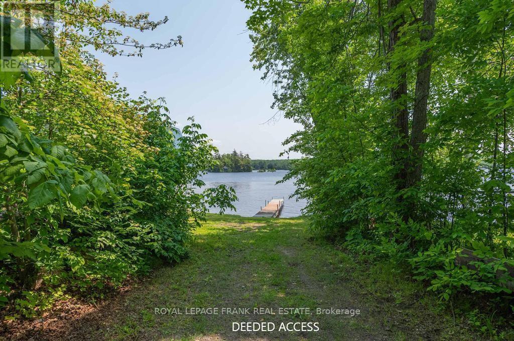 












3 FIRE ROUTE 27B

,
Trent Lakes,




Ontario
K0L1J0

