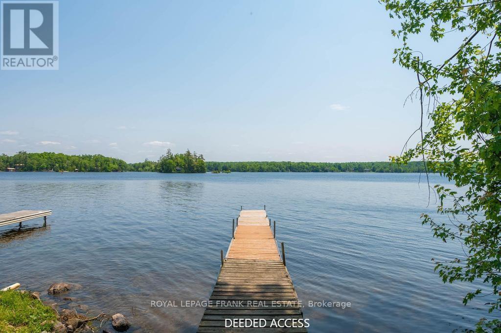 












3 FIRE ROUTE 27B

,
Trent Lakes,




Ontario
K0L1J0

