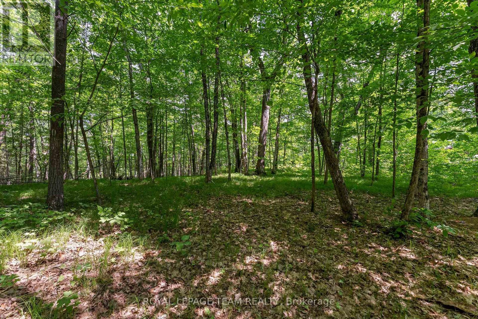 












554 POPLAR WAY

,
Greater Madawaska,




Ontario
K0J1H0


