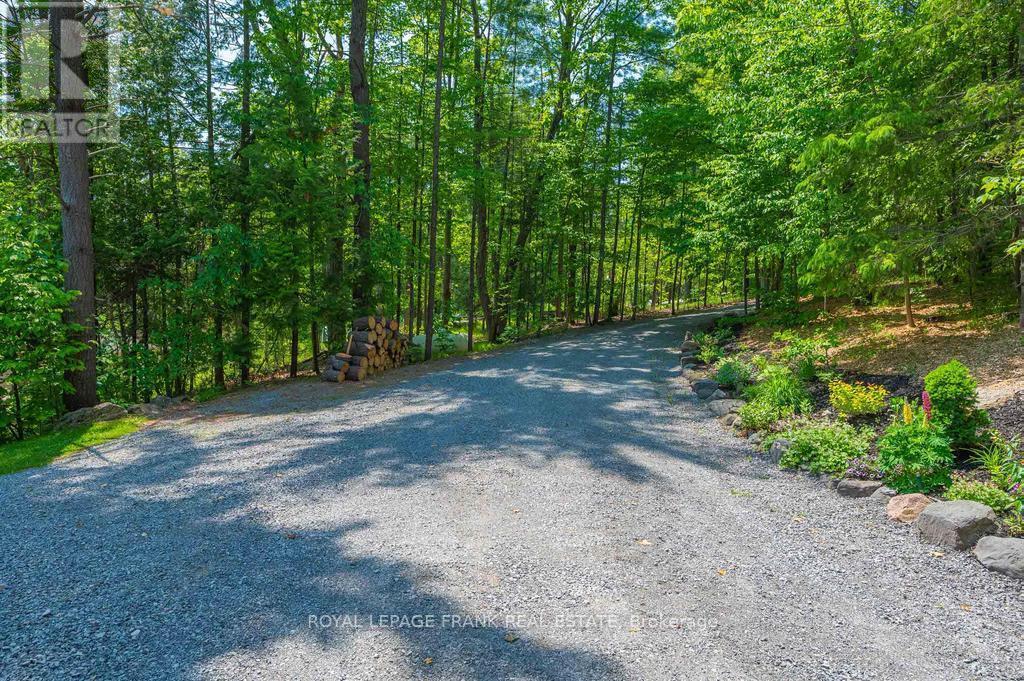 












113 FIRE ROUTE 37

,
Trent Lakes,




Ontario
K0L1J0

