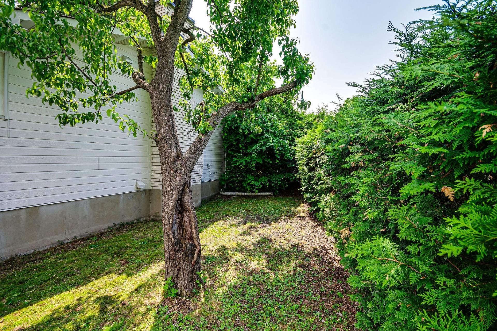 









105


Rue Cholette

,
Gatineau (Hull),




QC
J8Y6L7

