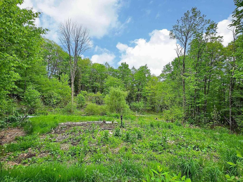 









34


Ch. du Haut-Bois

,
Val-des-Monts,




QC
J8N0C9

