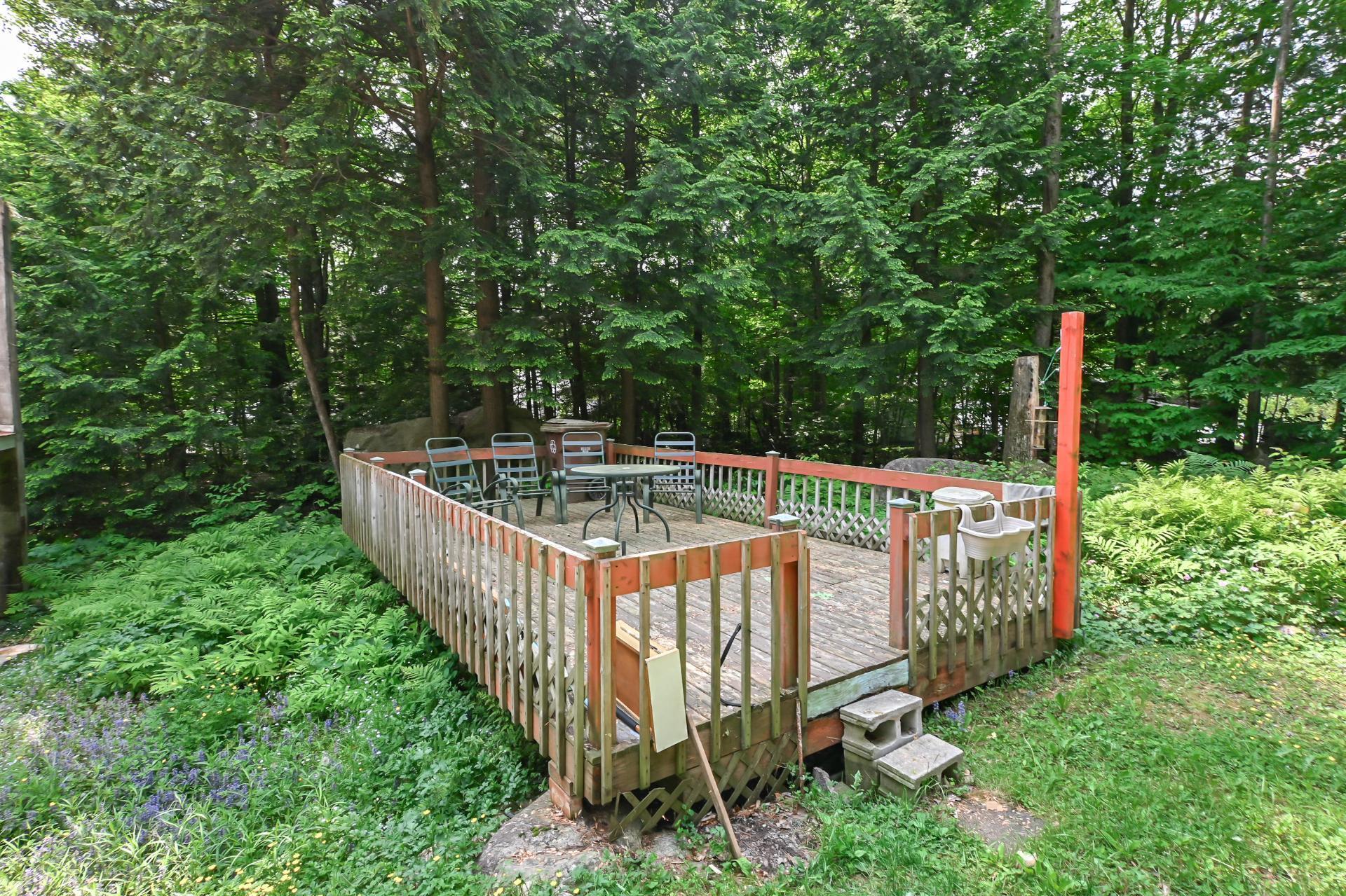 









315


Rue Juteau

,
Sainte-Sophie,




QC
J5J2P1

