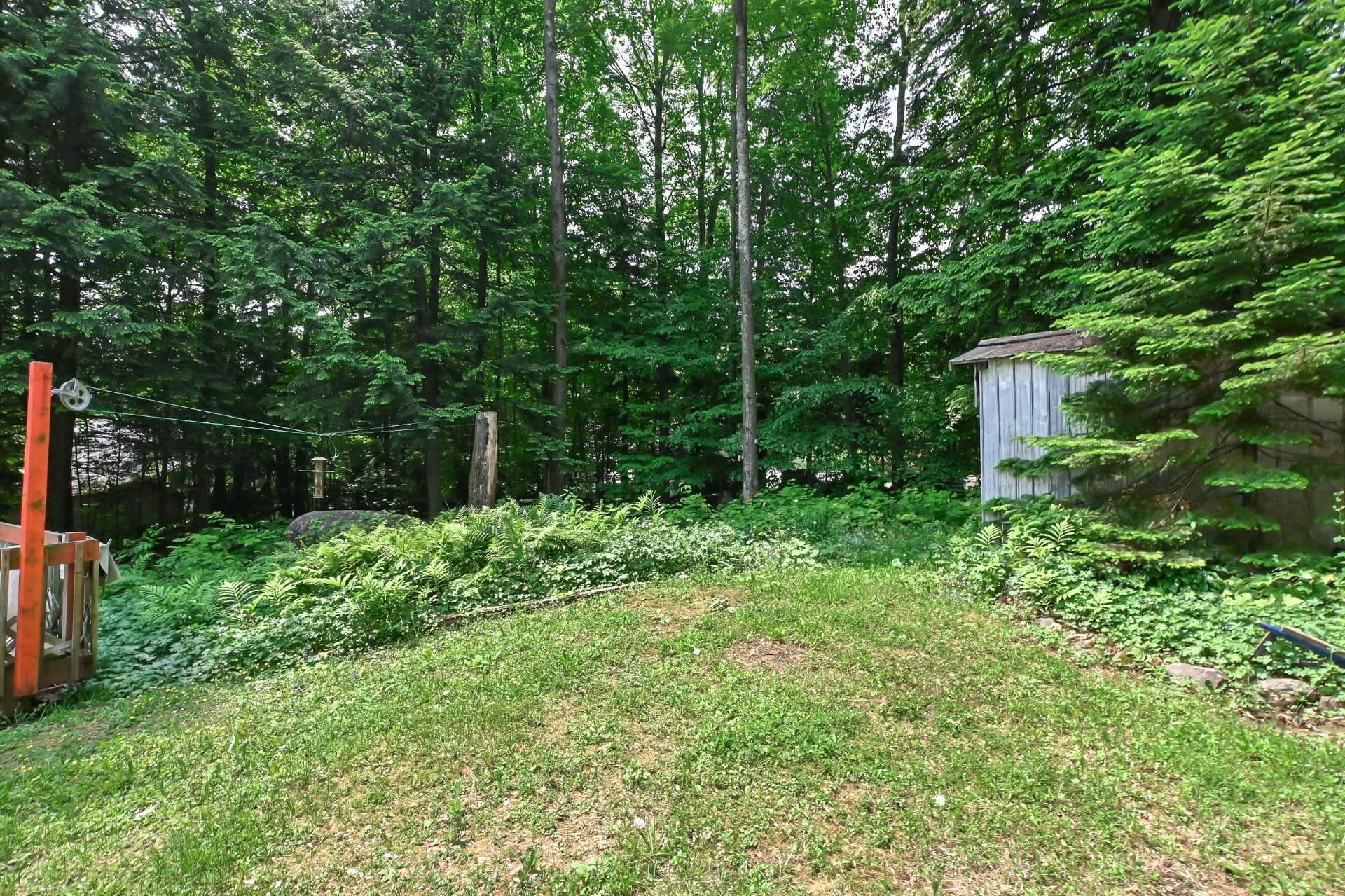 









315


Rue Juteau

,
Sainte-Sophie,




QC
J5J2P1

