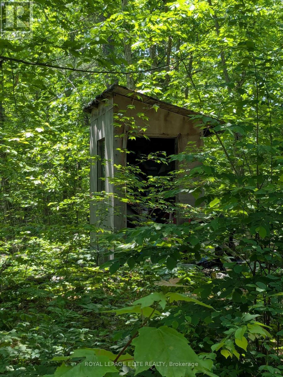 












559 HONEY HARBOUR ROAD

,
Georgian Bay,







Ontario
L0K1S0

