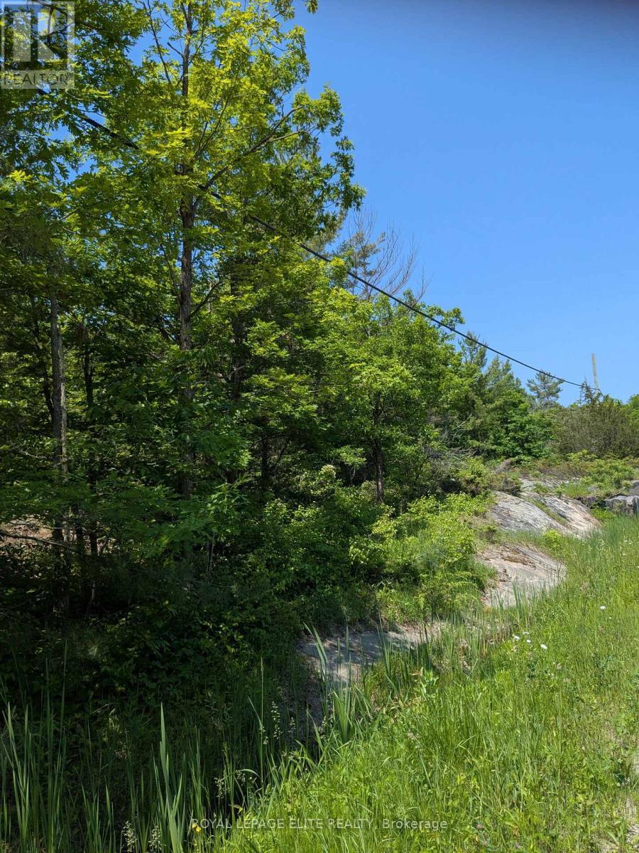 












559 HONEY HARBOUR ROAD

,
Georgian Bay,







Ontario
L0K1S0

