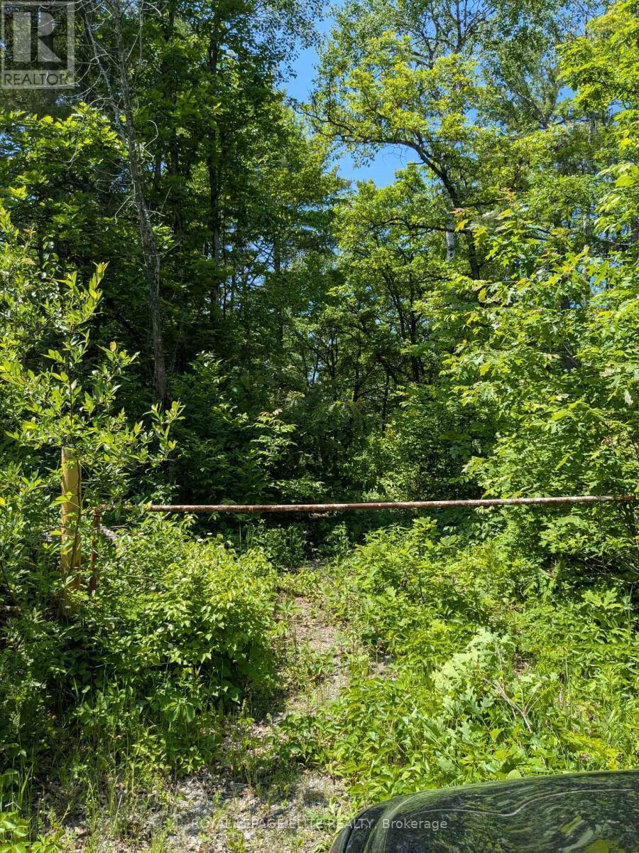 












559 HONEY HARBOUR ROAD

,
Georgian Bay,







Ontario
L0K1S0

