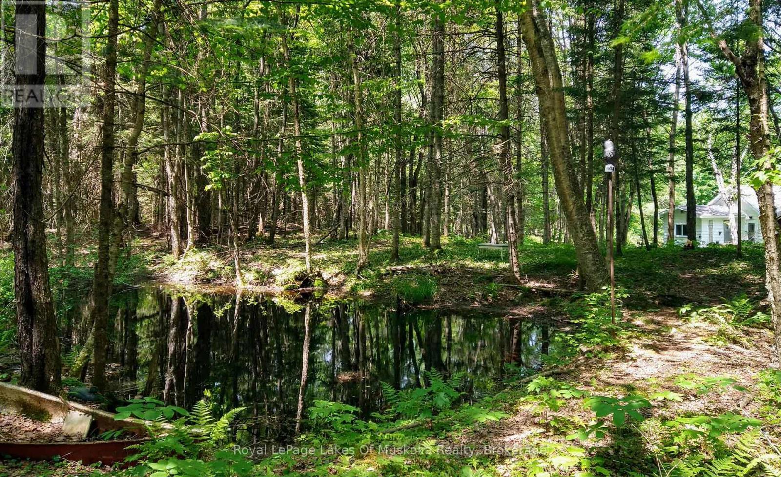 












32 OLD RAINY LAKE ROAD

,
McMurrich/Monteith (Sprucedale),




Ontario
P0A1Y0

