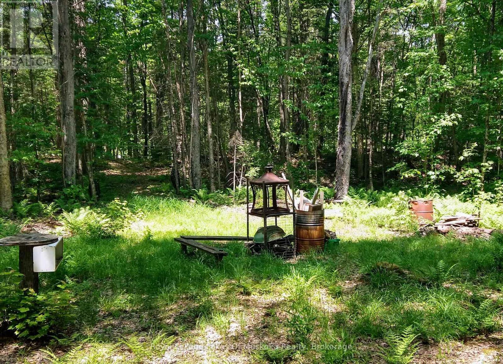 












32 OLD RAINY LAKE ROAD

,
McMurrich/Monteith (Sprucedale),




Ontario
P0A1Y0

