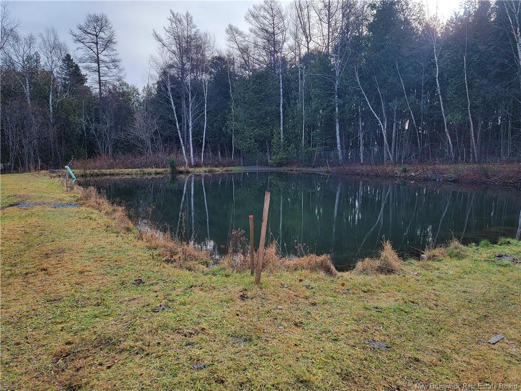 









91


Des Ormes

,
Petit-Rocher-Nord,




NB
E8J 2K1

