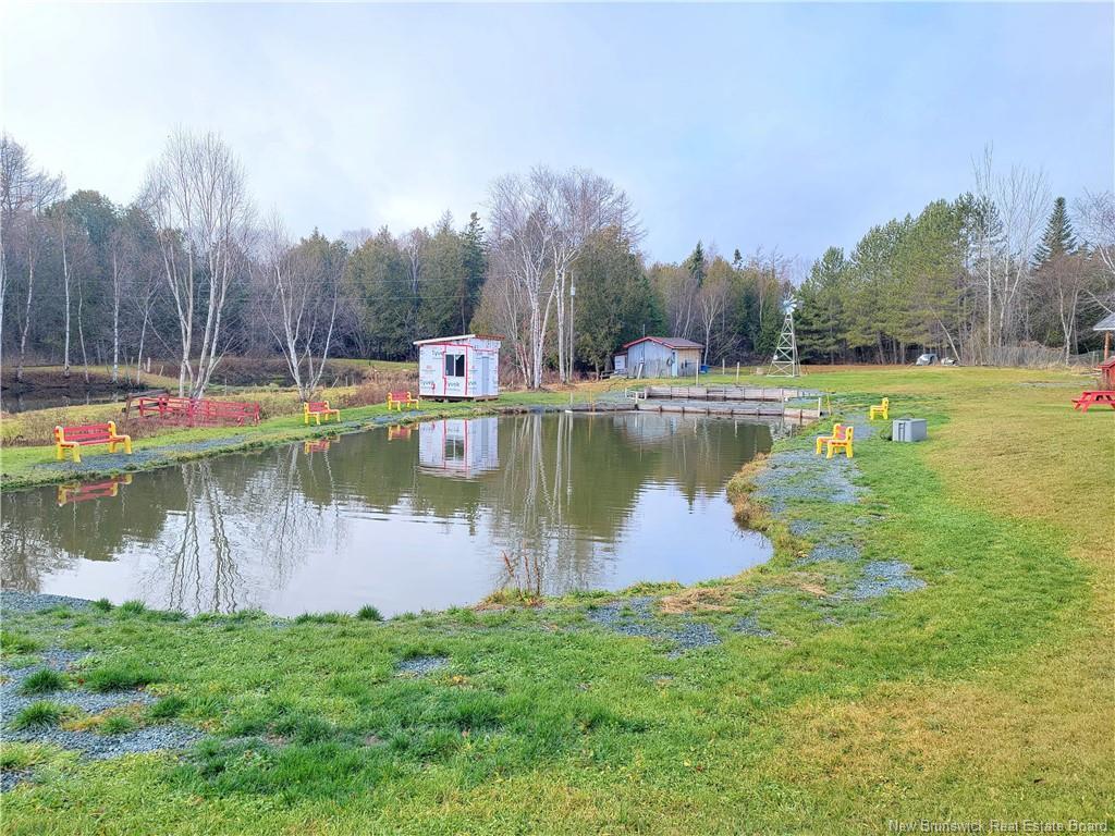 









91


Des Ormes

,
Petit-Rocher-Nord,




NB
E8J 2K1

