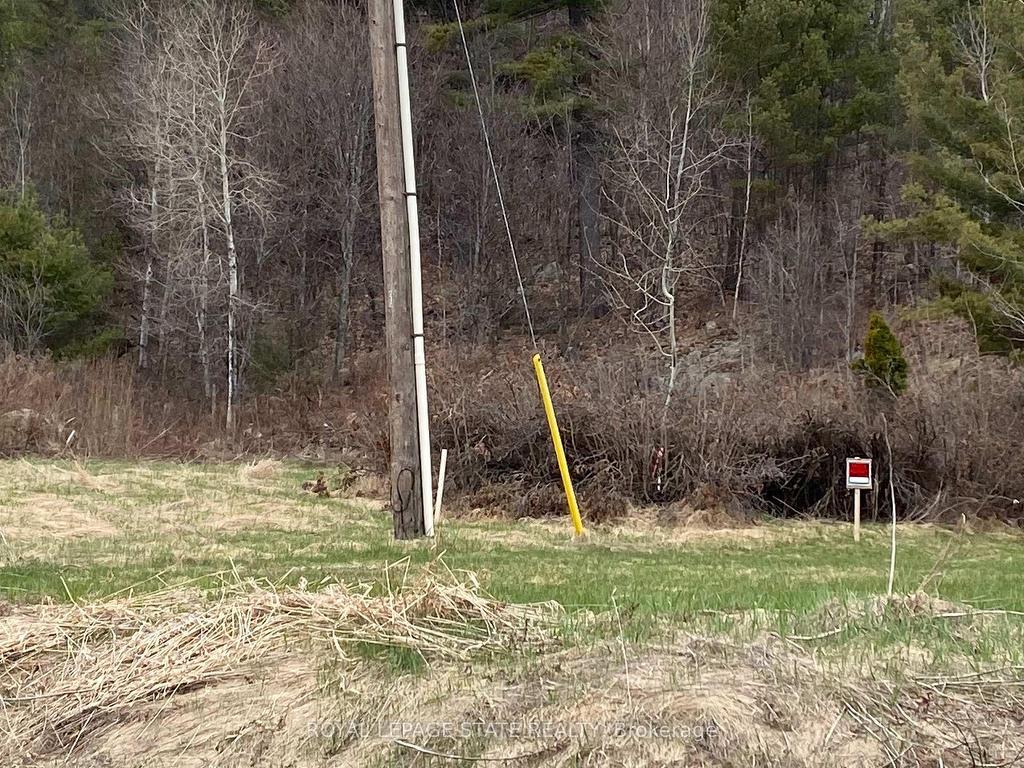 









0


ON-17 (Trans Canada)

Highway,
The North Shore,







ON
P5A 2J7

