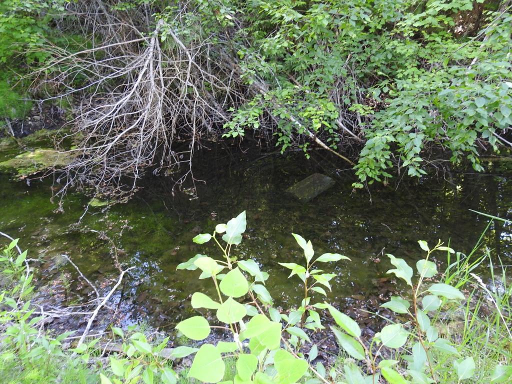 









4345


Colebank

Road,
Falkland,







BC
V0E 1W1


