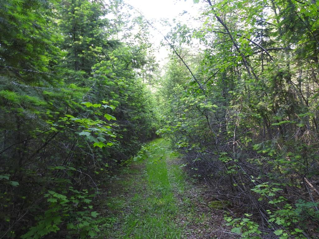 









4345


Colebank

Road,
Falkland,







BC
V0E 1W1

