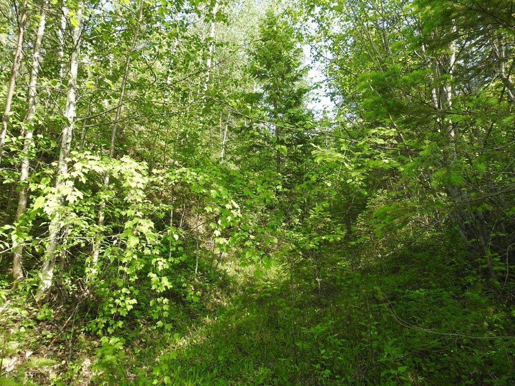 









4345


Colebank

Road,
Falkland,







BC
V0E 1W1

