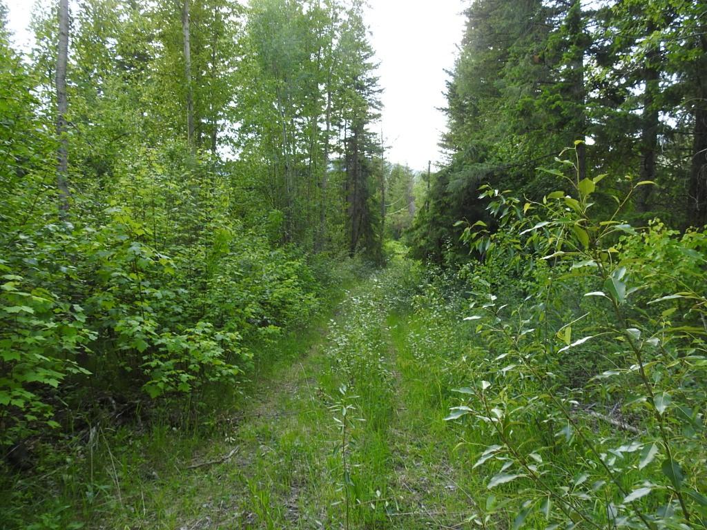 









4345


Colebank

Road,
Falkland,







BC
V0E 1W1

