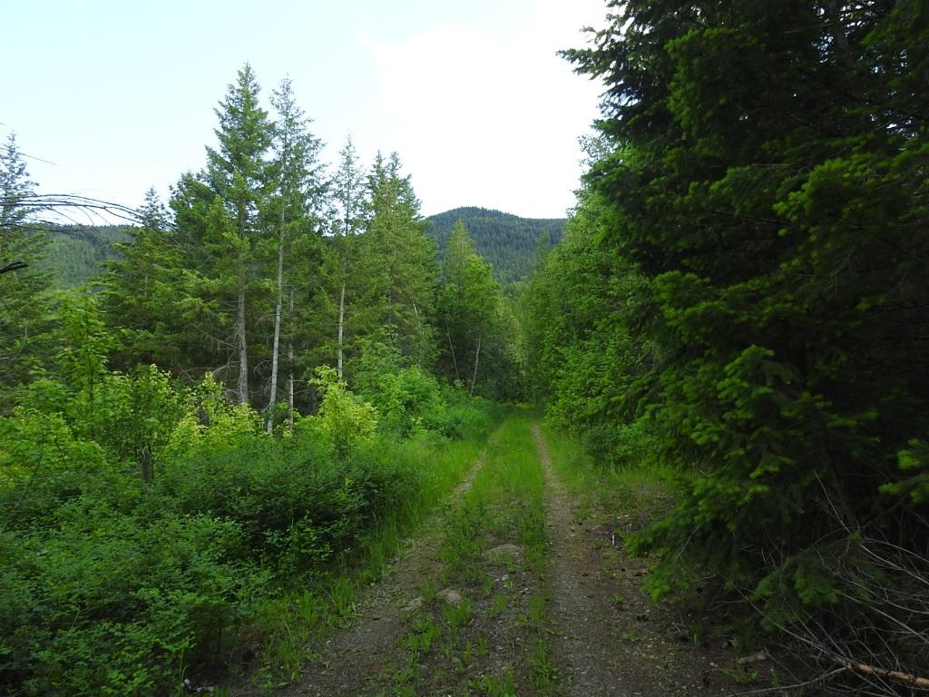 









4345


Colebank

Road,
Falkland,







BC
V0E 1W1

