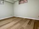 Lower Level Office or Hobby Room