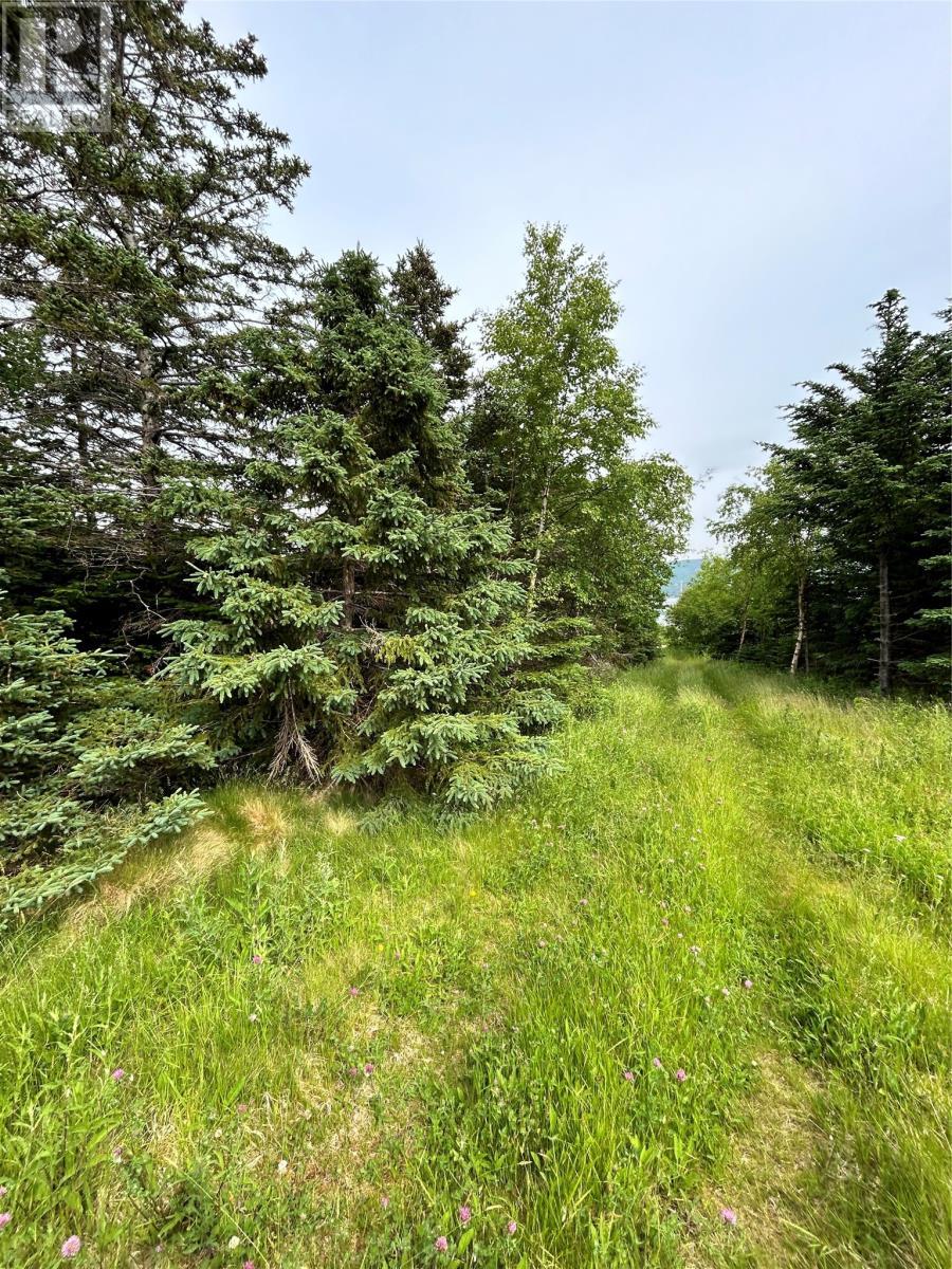












452 Main Road

,
Searston,







Newfoundland & Labrador
A0N1J0

