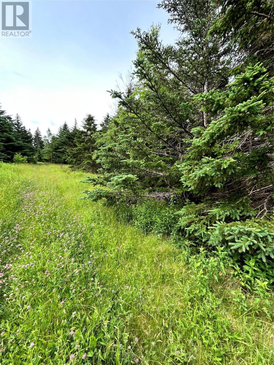 












452 Main Road

,
Searston,







Newfoundland & Labrador
A0N1J0

