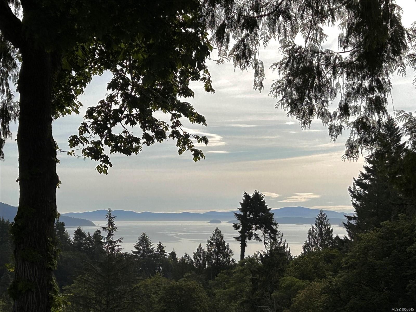 









3441


Arbutus

Dr South,
Cobble Hill,




BC
V8H 0K8


