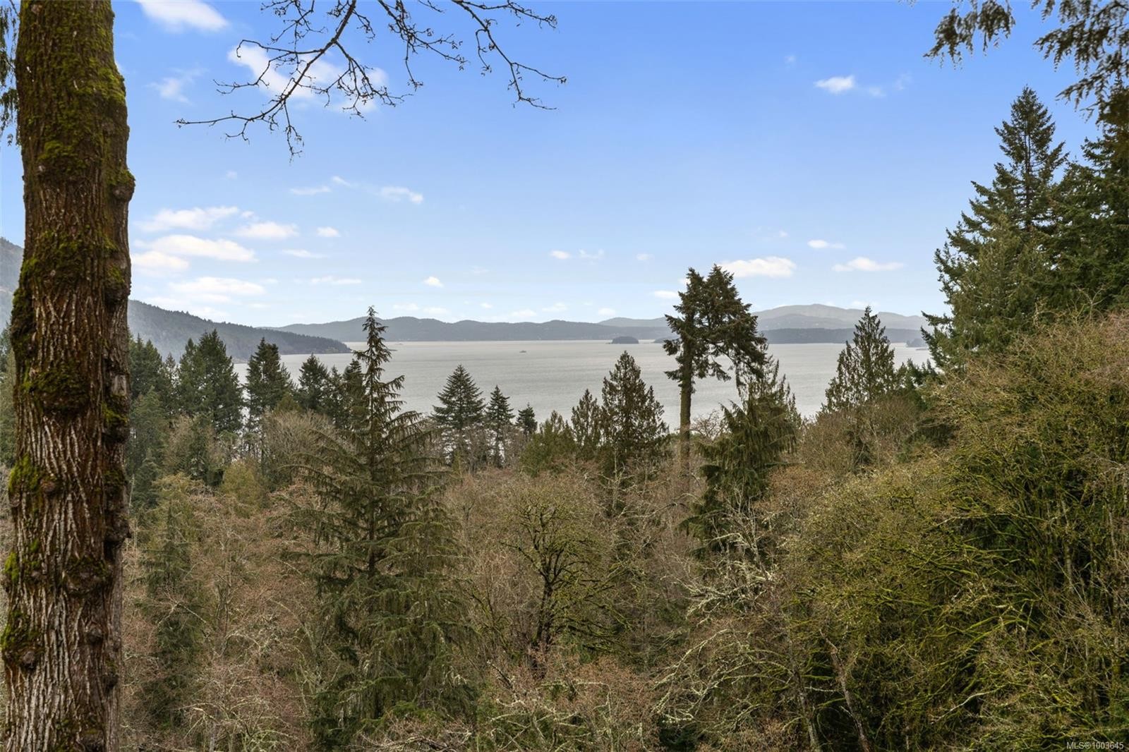 









3441


Arbutus

Dr South,
Cobble Hill,




BC
V8H 0K8

