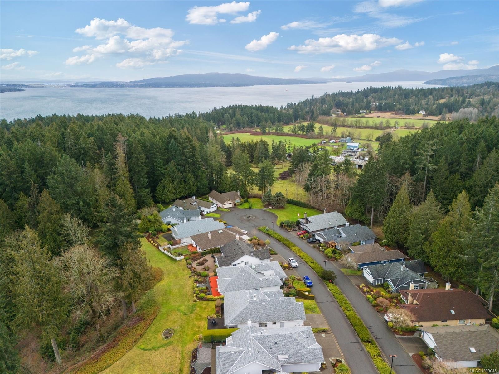 









3441


Arbutus

Dr South,
Cobble Hill,




BC
V8H 0K8


