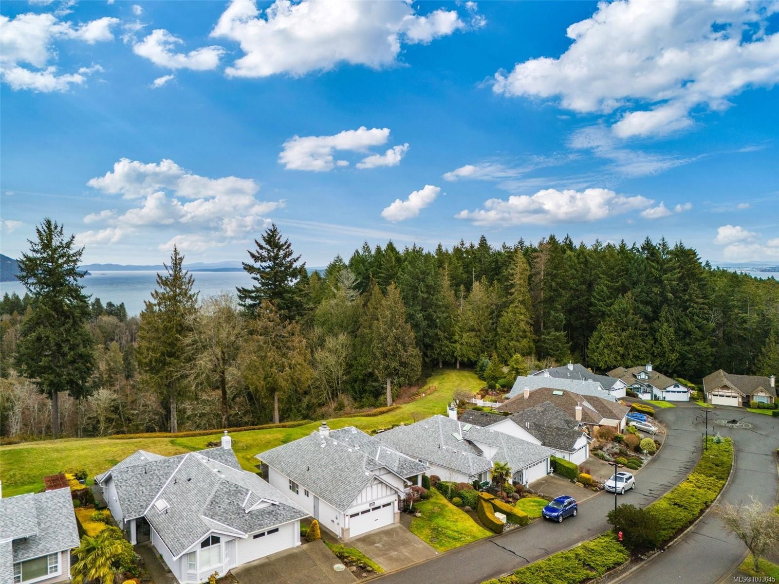









3441


Arbutus

Dr South,
Cobble Hill,




BC
V8H 0K8

