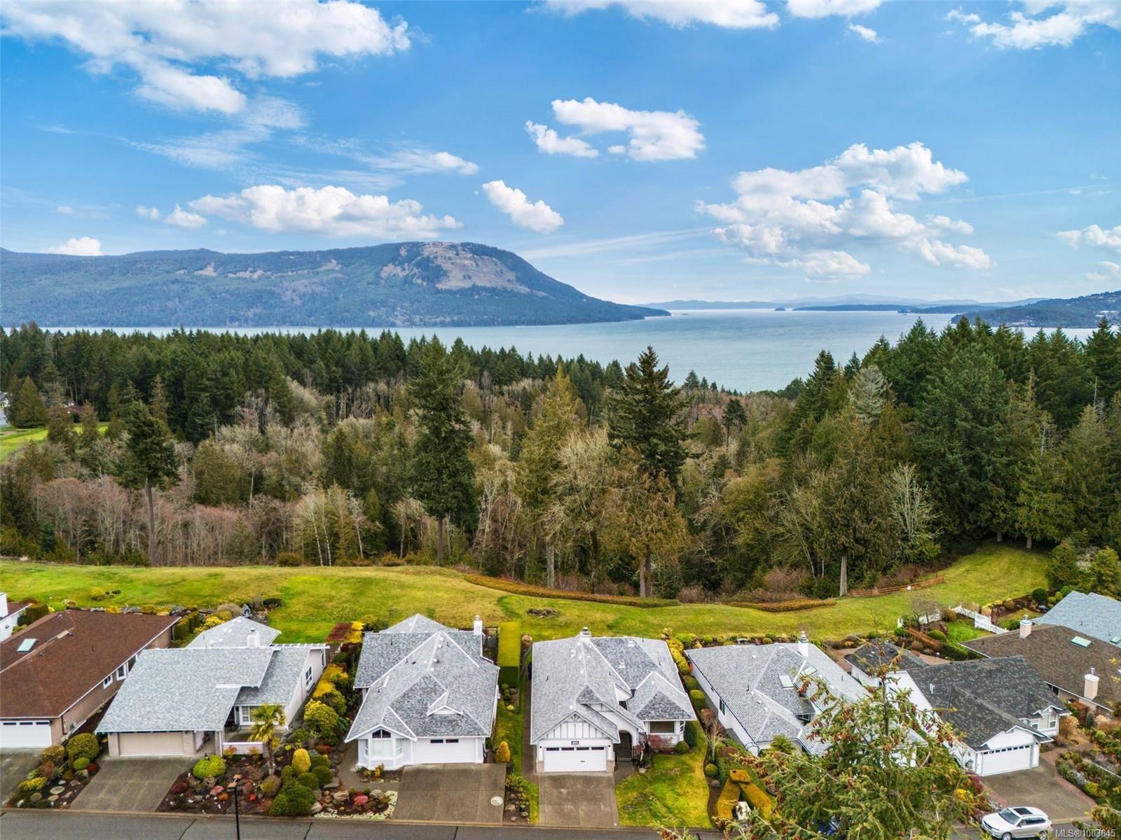 









3441


Arbutus

Dr South,
Cobble Hill,




BC
V8H 0K8

