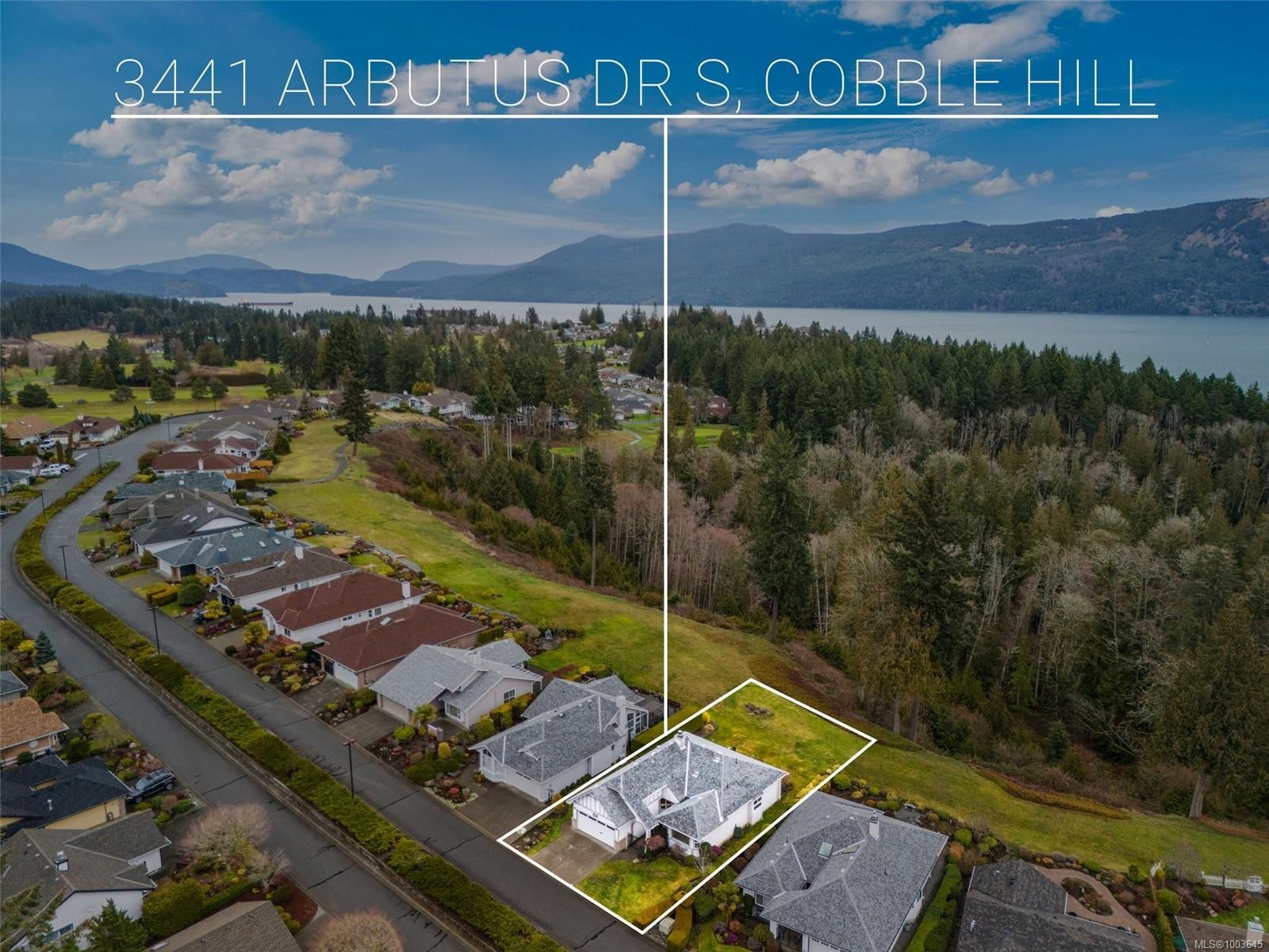









3441


Arbutus

Dr South,
Cobble Hill,




BC
V8H 0K8

