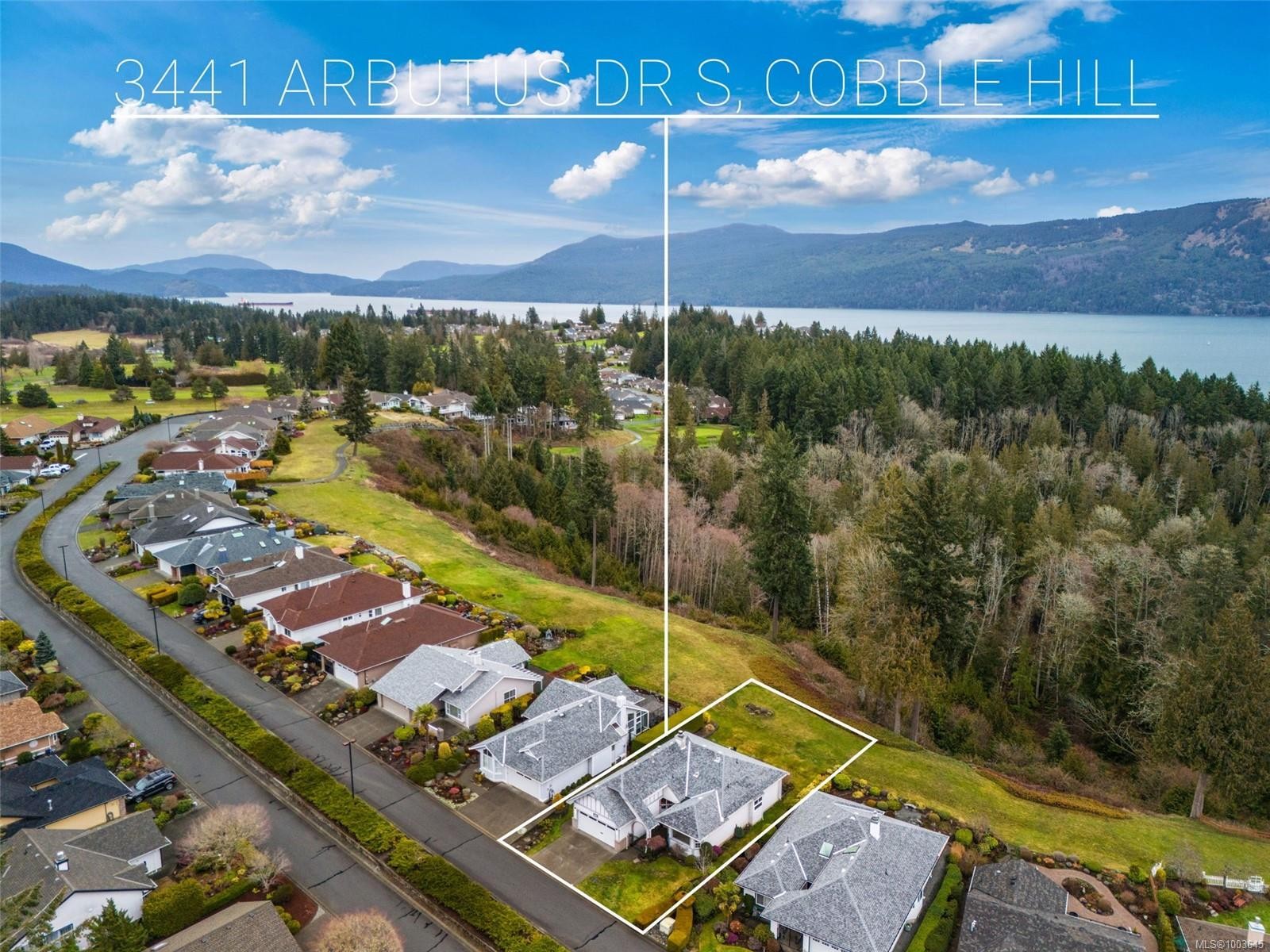 









3441


Arbutus

Dr South,
Cobble Hill,




BC
V8H 0K8

