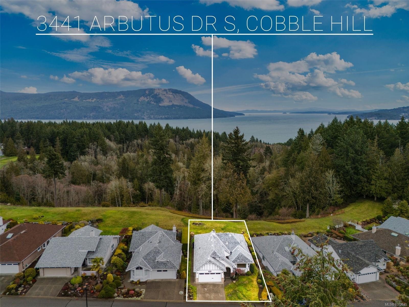 









3441


Arbutus

Dr South,
Cobble Hill,




BC
V8H 0K8

