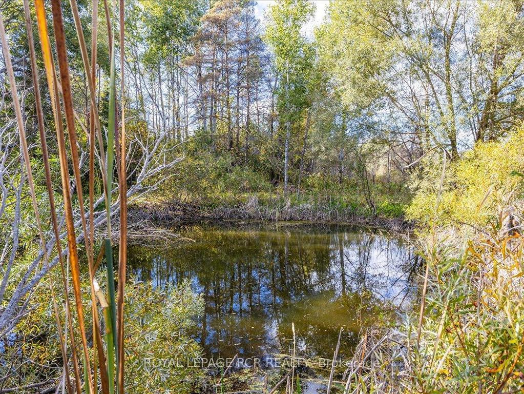 









21324


McCowan

Road,
East Gwillimbury,




ON
L0G 1M0

