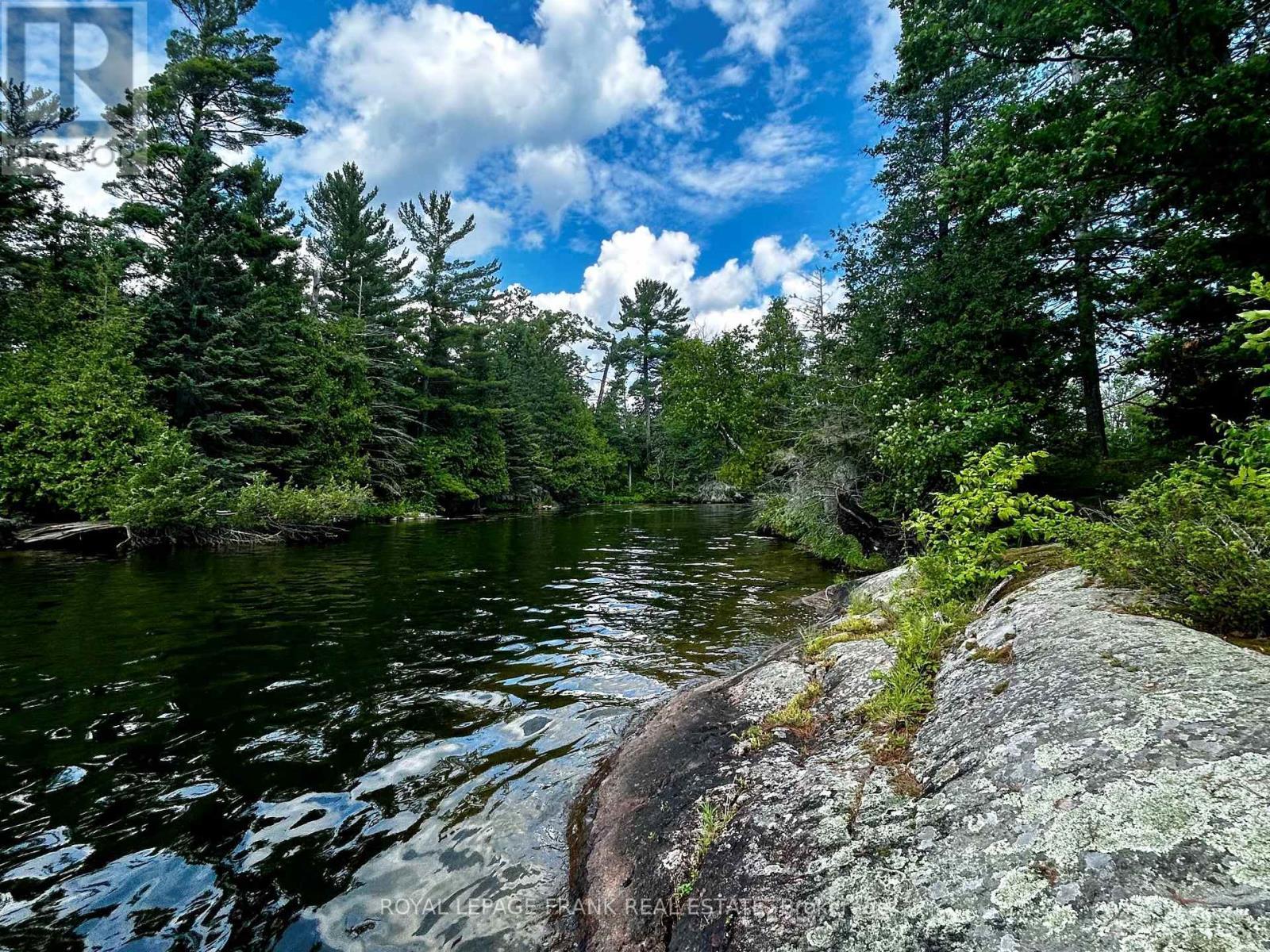 












2295 STONY LAKE ISL 17

,
North Kawartha,




Ontario
K0L2H0

