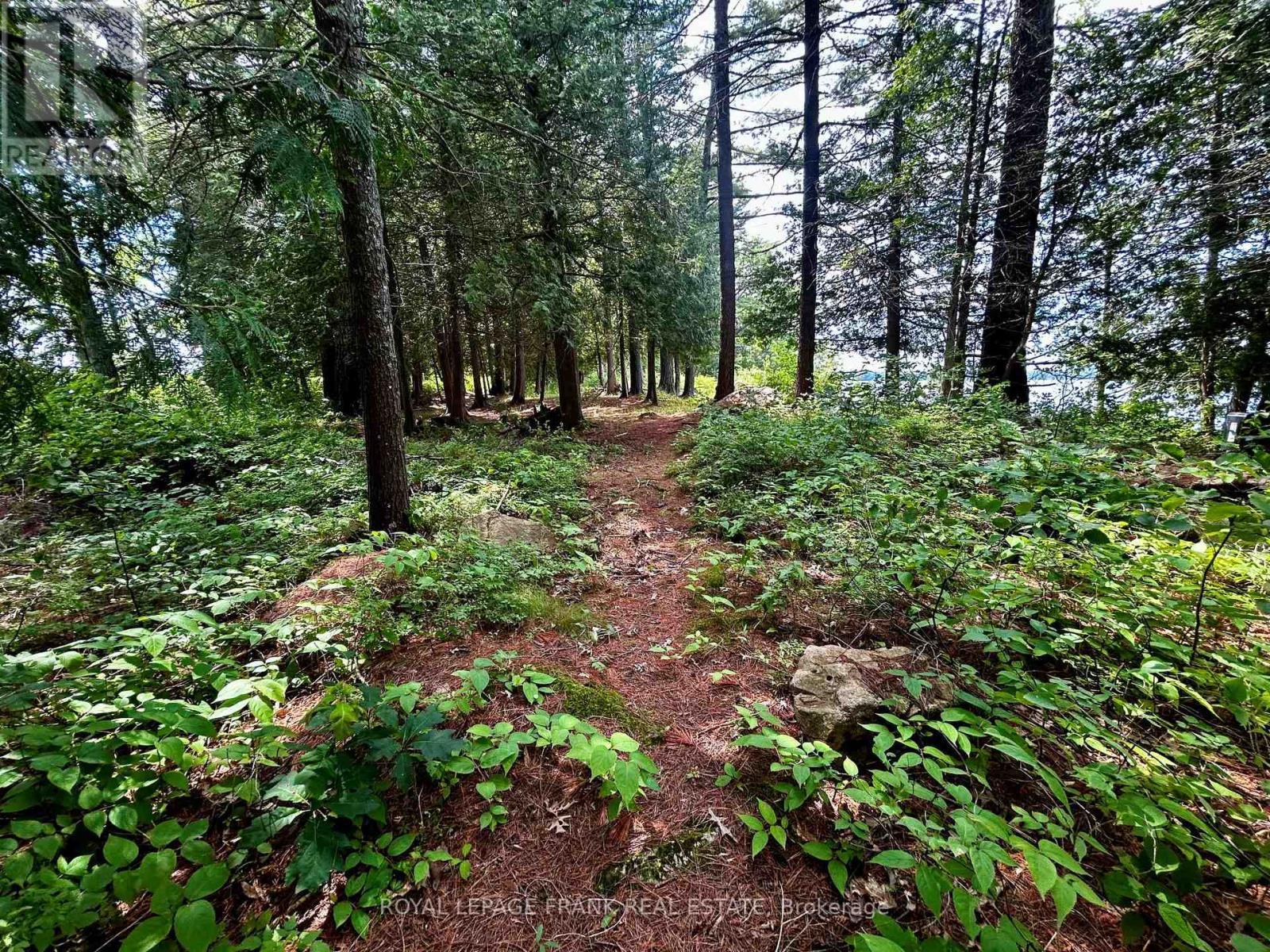 












2295 STONY LAKE ISL 17

,
North Kawartha,




Ontario
K0L2H0

