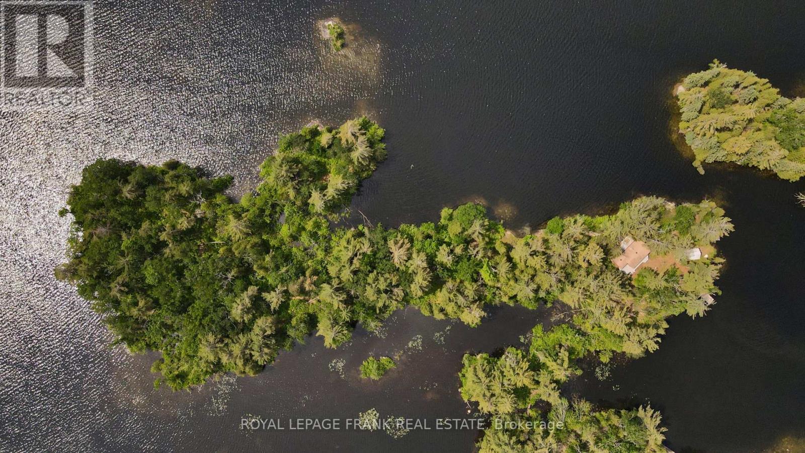 












2295 STONY LAKE ISL 17

,
North Kawartha,




Ontario
K0L2H0

