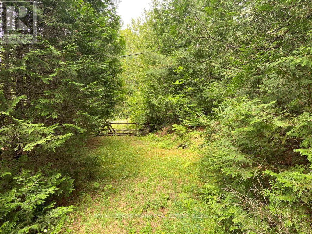 












0 BARCROFT ROAD

,
Trent Lakes,







Ontario
K0L1J0

