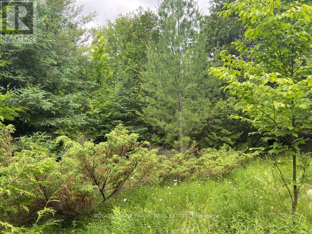 












0 BARCROFT ROAD

,
Trent Lakes,







Ontario
K0L1J0

