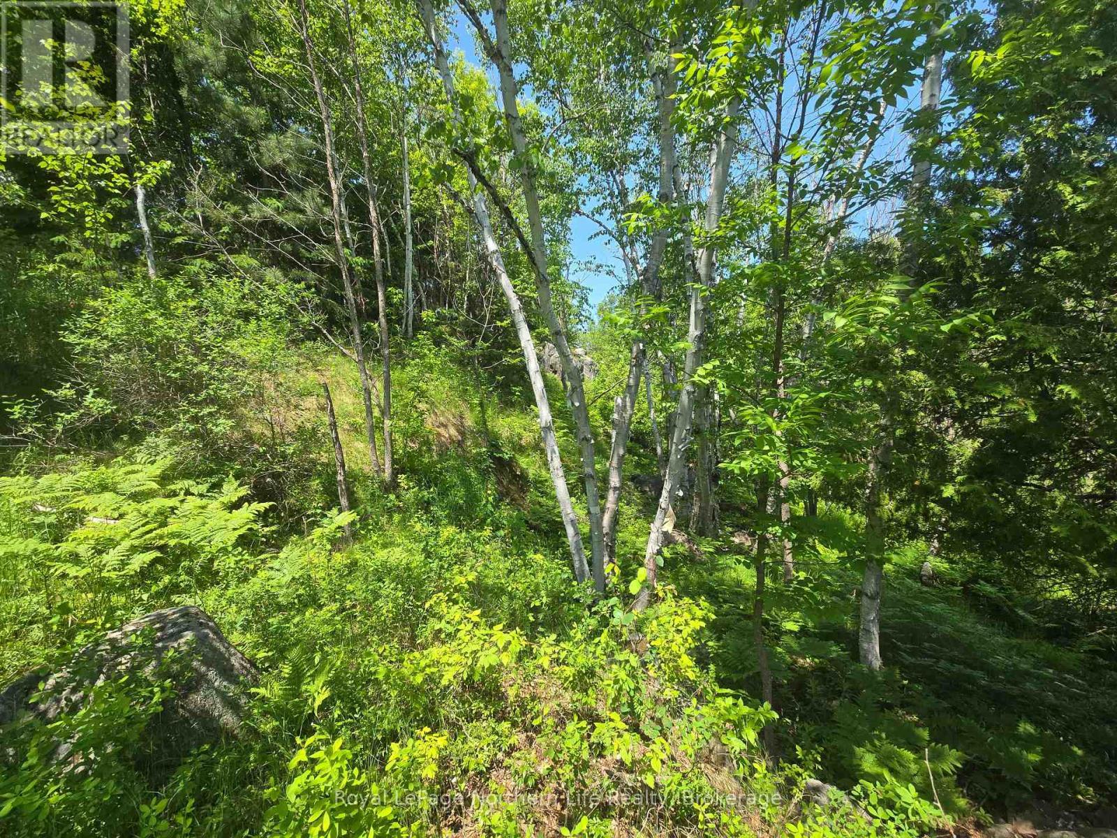 












300 TWIN LAKES ROAD

,
North Bay (Birchaven),







Ontario
P1B8J5

