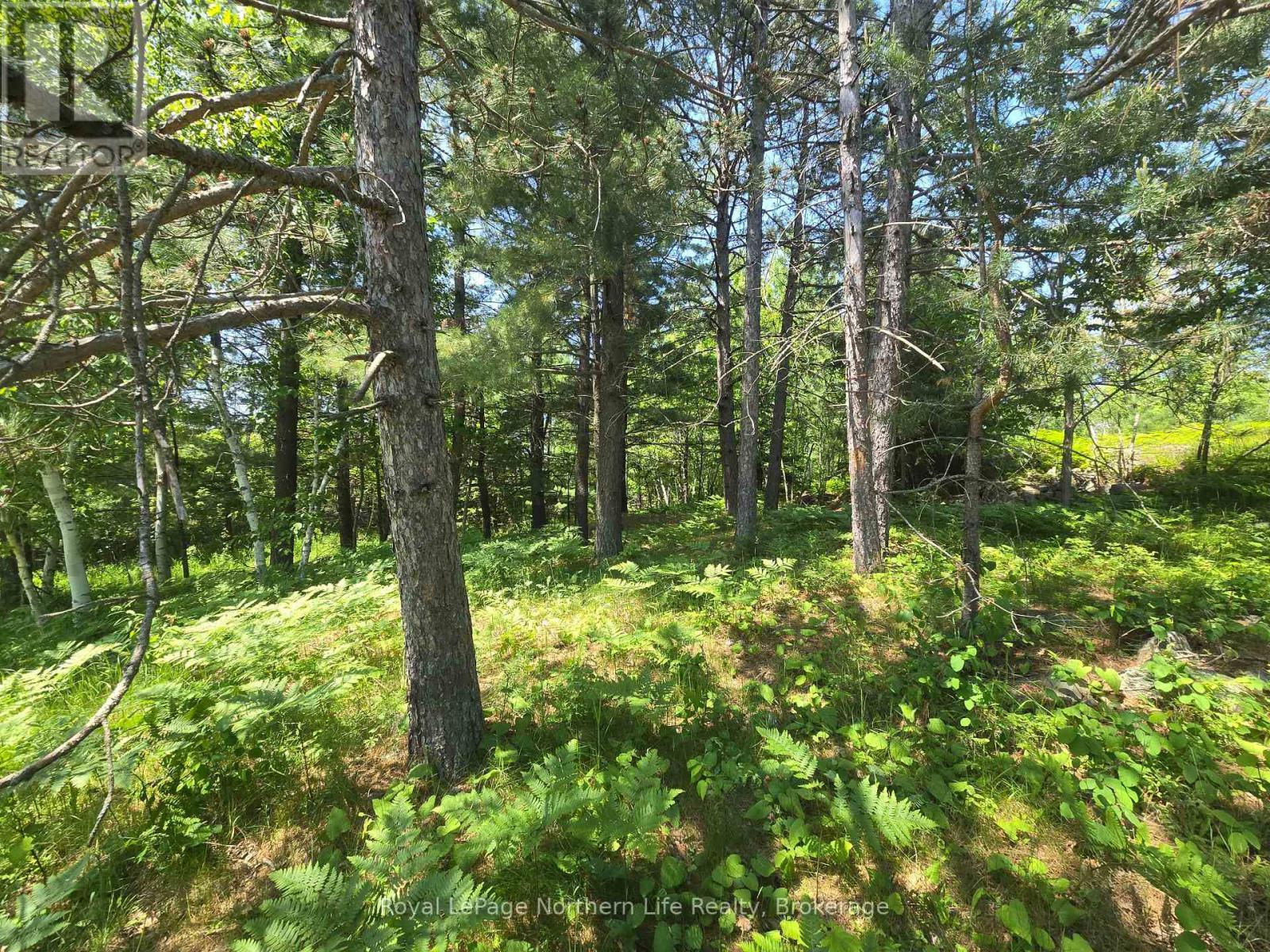 












300 TWIN LAKES ROAD

,
North Bay (Birchaven),







Ontario
P1B8J5


