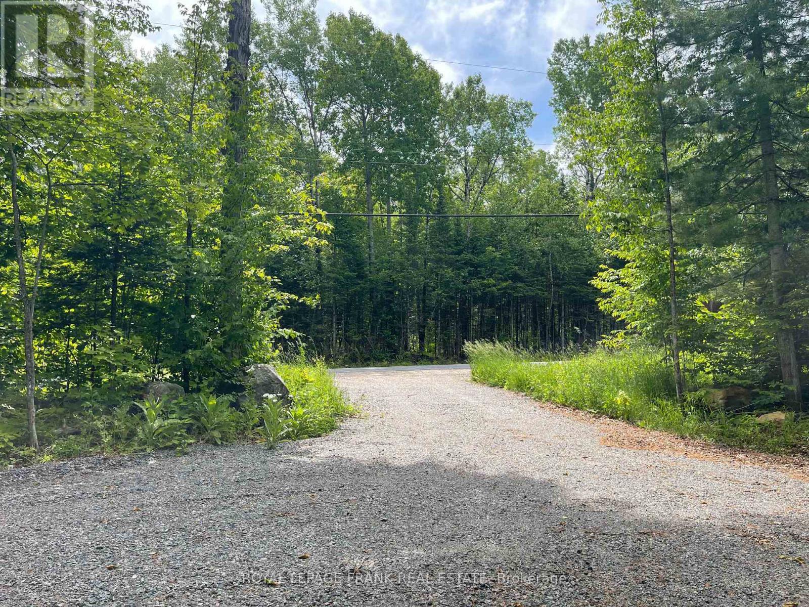 












1496 SOUTH BAPTISTE LK ROAD

,
Hastings Highlands (Herschel Ward),







Ontario
K0L1C0

