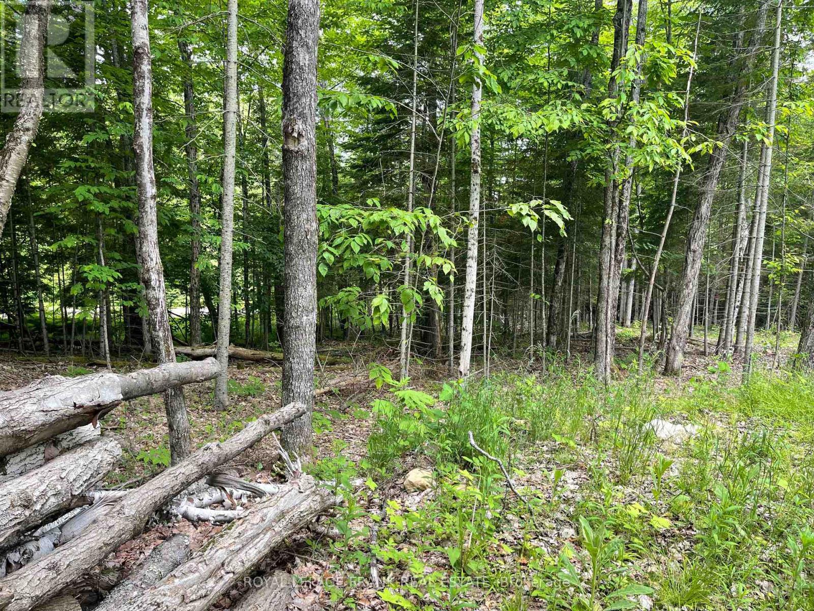 












1496 SOUTH BAPTISTE LK ROAD

,
Hastings Highlands (Herschel Ward),







Ontario
K0L1C0

