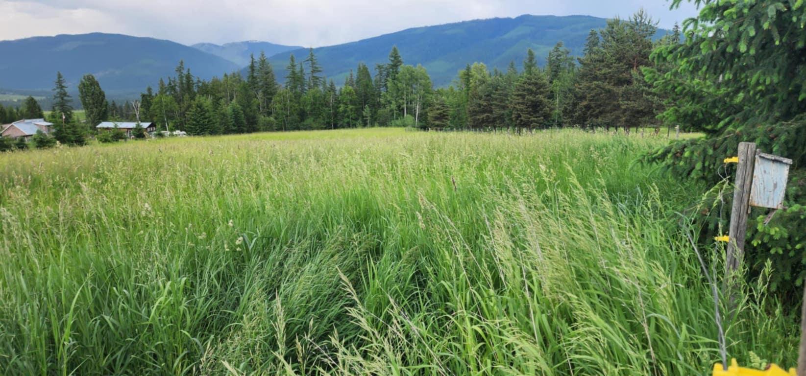 









48


Puckett

Road,
Cherryville,




BC
V0E 2G3

