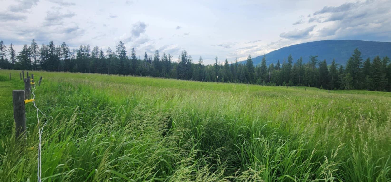 









48


Puckett

Road,
Cherryville,




BC
V0E 2G3

