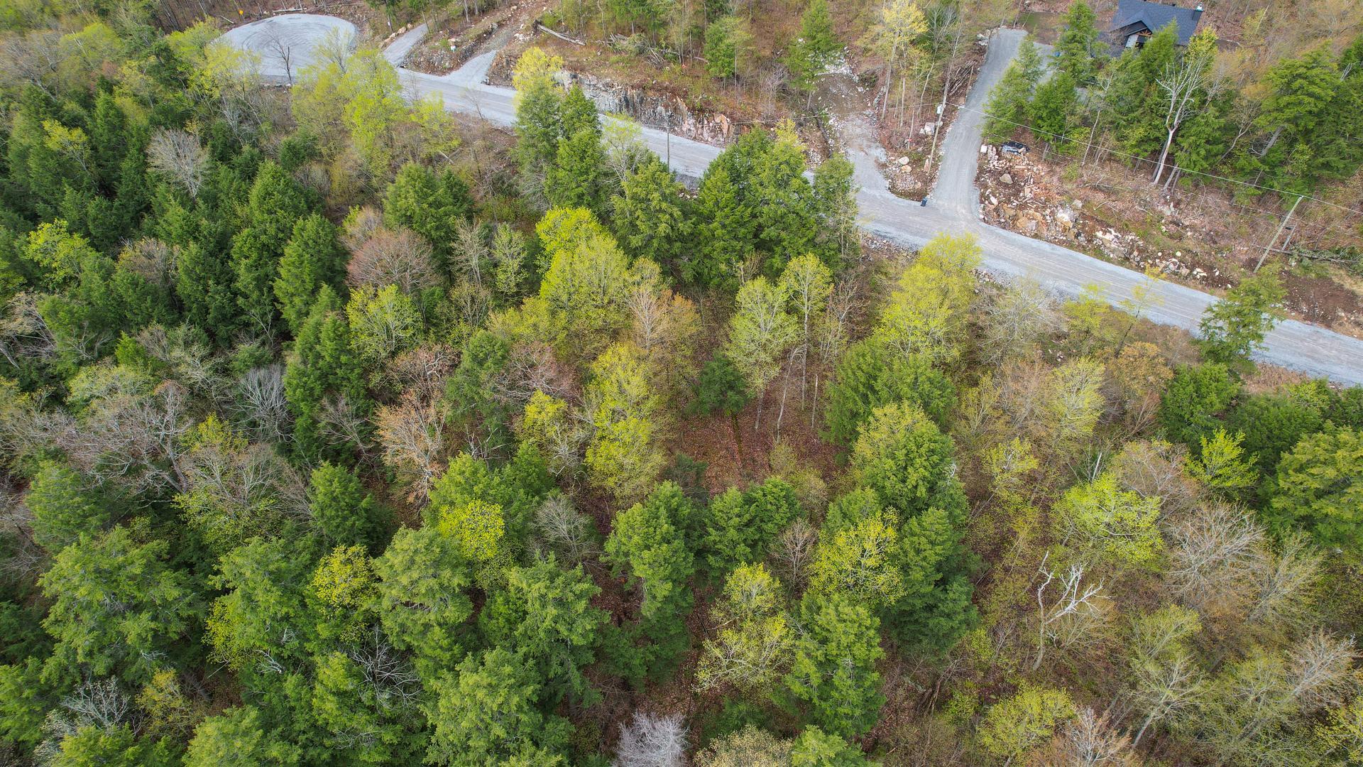 









37


Ch. de la Fresque

,
Val-des-Monts,







QC
J8N0C5

